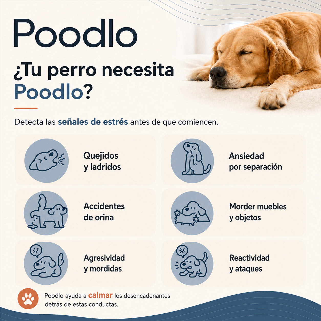Poodlo™ Difusor Calmante Para Perros