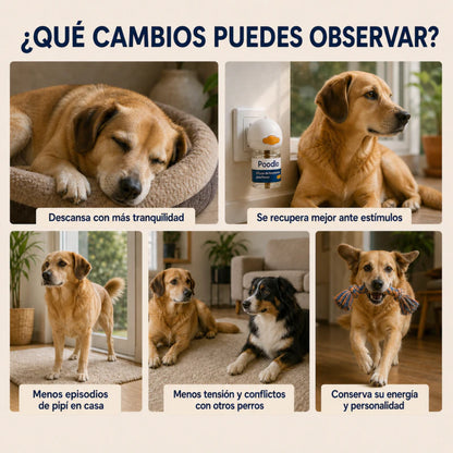 Poodlo™ Difusor Calmante Para Perros
