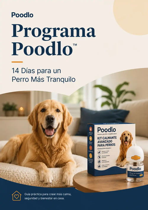 Ebook Programa Poodlo™: 14 Días para un Perro Más Tranquilo